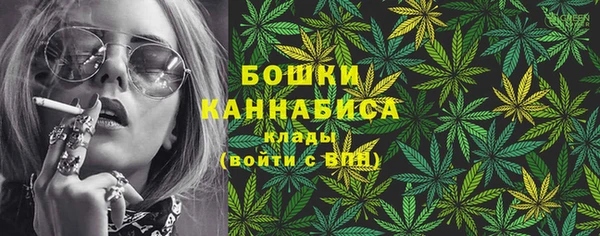 прущие грибы Мегион