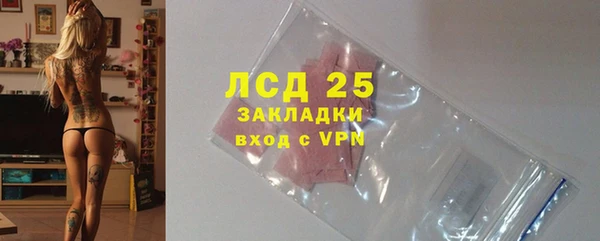 прущие грибы Мегион