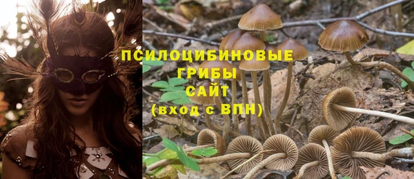 альфа пвп Медвежьегорск