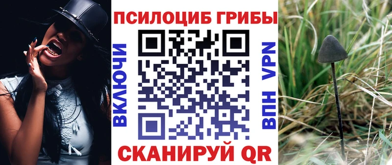 Галлюциногенные грибы ЛСД  дарнет шоп  Черепаново 